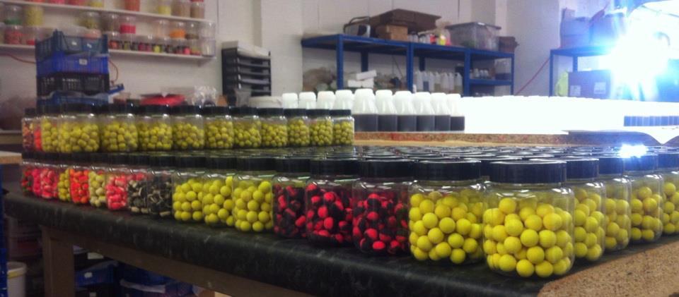 pescuit - 549061498382550221865781744738n.jpg